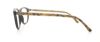 Picture of Polo Eyeglasses PH2107