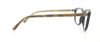 Picture of Polo Eyeglasses PH2107