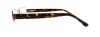 Picture of Polo Eyeglasses PH1115