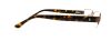 Picture of Polo Eyeglasses PH1115