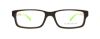 Picture of Polo Eyeglasses PH2095