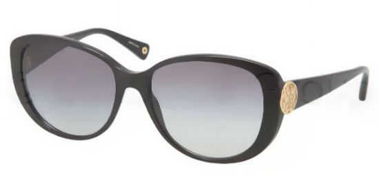 Picture of Coach Sunglasses HC8014