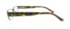 Picture of Polo Eyeglasses PH1083