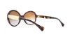 Picture of Ralph Sunglasses RA5172