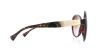 Picture of Ralph Sunglasses RA5172