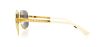 Picture of Juicy Couture Sunglasses 545/S