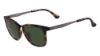 Picture of Calvin Klein Platinum Sunglasses CK1213S