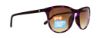 Picture of Spy Sunglasses Cameo