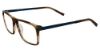 Picture of Converse Eyeglasses Q311