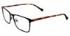 Picture of Lucky Brand Eyeglasses D308