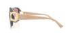 Picture of Salvatore Ferragamo Sunglasses SF666S