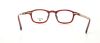 Picture of Converse Eyeglasses IN FOCUS