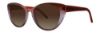 Picture of Vera Wang Eyeglasses NIOBE