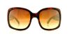 Picture of Ralph Sunglasses RA5031