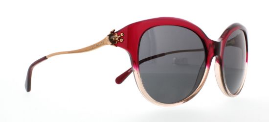Picture of Coach Sunglasses HC8189