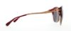 Picture of Coach Sunglasses HC8189