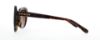 Picture of Coach Sunglasses HC8204F