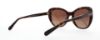 Picture of Coach Sunglasses HC8204F