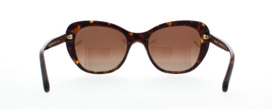 Picture of Coach Sunglasses HC8204F