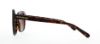 Picture of Coach Sunglasses HC8204 L1631