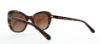 Picture of Coach Sunglasses HC8204 L1631