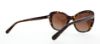 Picture of Coach Sunglasses HC8204 L1631