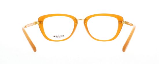 Picture of Coach Eyeglasses HC6106B