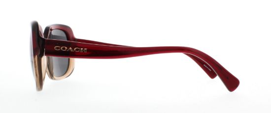 Picture of Coach Sunglasses HC8178