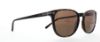 Picture of Polo Sunglasses PH4107