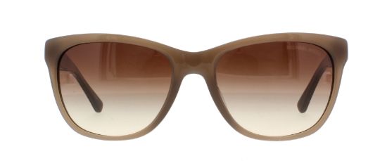 Picture of Michael Kors Sunglasses MK2022F Rania II (F)