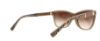 Picture of Michael Kors Sunglasses MK2022F Rania II (F)