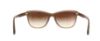 Picture of Michael Kors Sunglasses MK2022F Rania II (F)