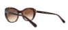 Picture of Coach Sunglasses HC8204 L1631