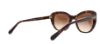 Picture of Coach Sunglasses HC8204 L1631