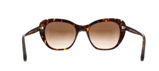 Picture of Coach Sunglasses HC8204 L1631