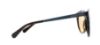 Picture of Michael Kors Sunglasses MK2034F Island Tropics Seaside