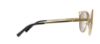 Picture of Michael Kors Sunglasses MK1020 Ina