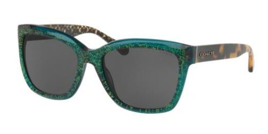 Picture of Coach Sunglasses HC8230