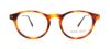 Picture of Giorgio Armani Eyeglasses AR7010
