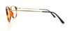 Picture of Giorgio Armani Eyeglasses AR7010