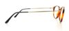 Picture of Giorgio Armani Eyeglasses AR7010