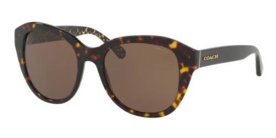 Picture of Coach Sunglasses HC8231F
