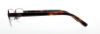Picture of Polo Eyeglasses PH1159