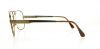 Picture of Elasta Eyeglasses 3060