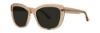 Picture of Kensie Sunglasses AGAIN AND AGAIN