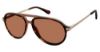 Picture of Sperry Eyeglasses OAK ISLAND