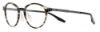 Picture of New Safilo Eyeglasses RANELLA 01