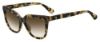 Picture of Kate Spade Sunglasses KAHLI/S