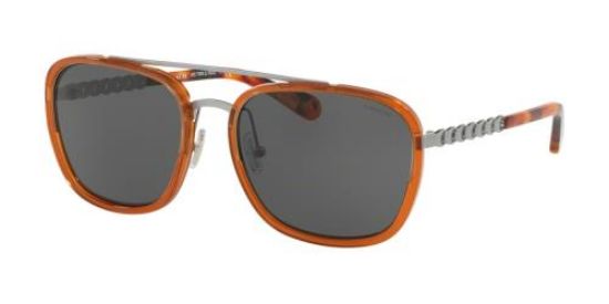 Picture of Coach Sunglasses HC7089