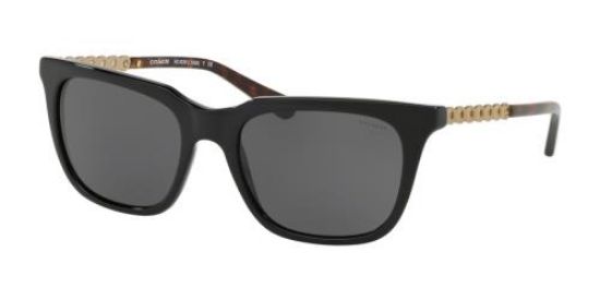 Picture of Coach Sunglasses HC8236